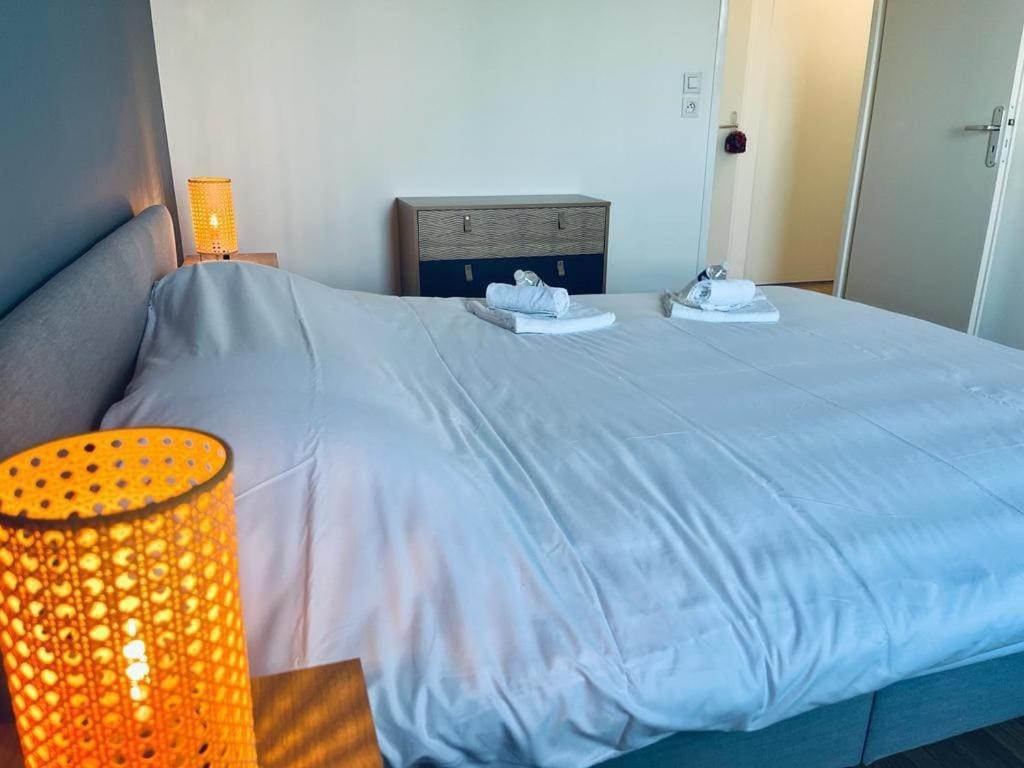 Appartement Charbonnier 6 Personnes Avec Terrasse Et Parking *